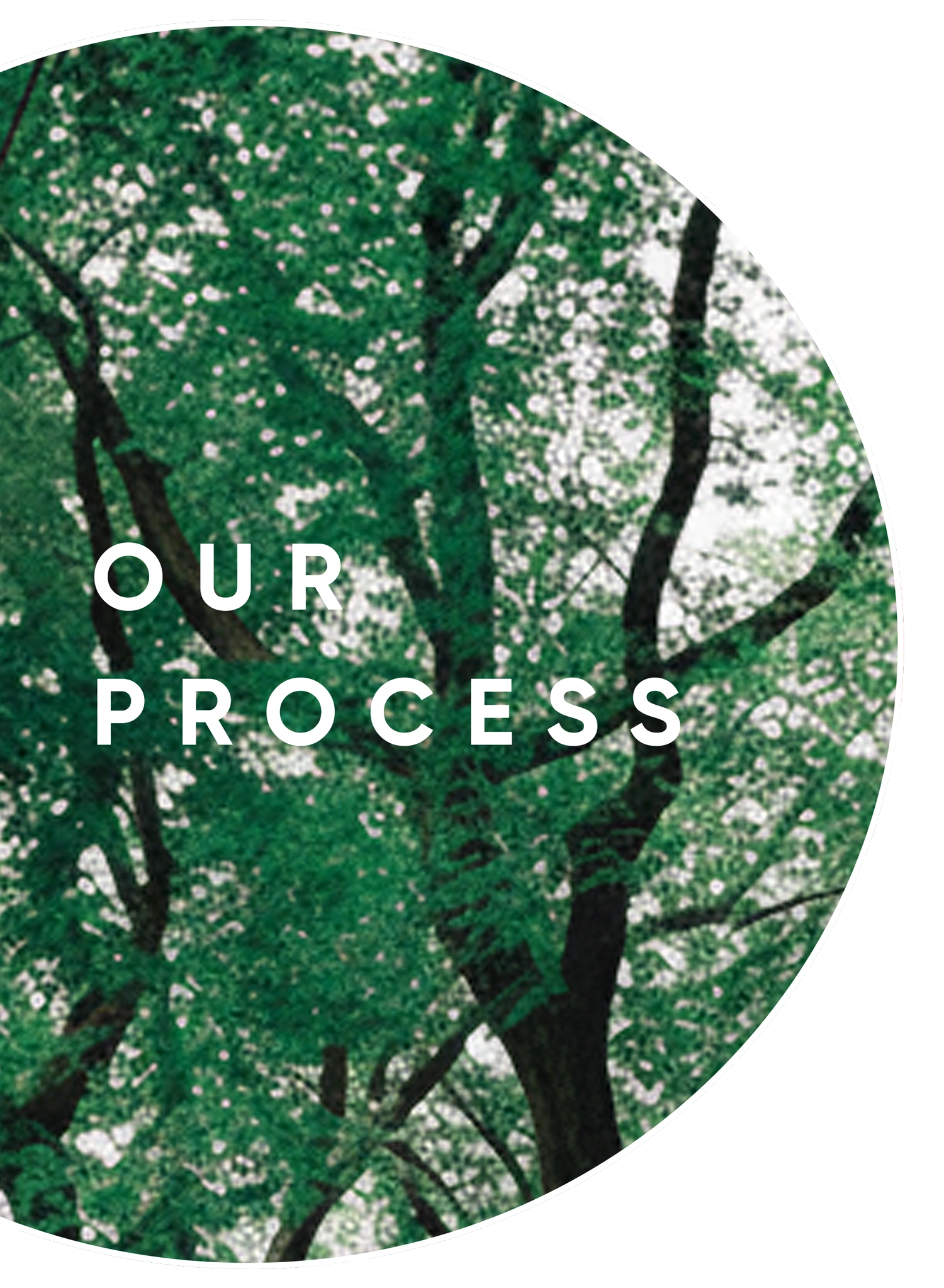 Process Image
